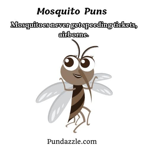 Mosquito Puns