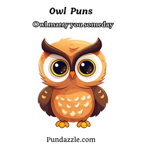 Owl Puns