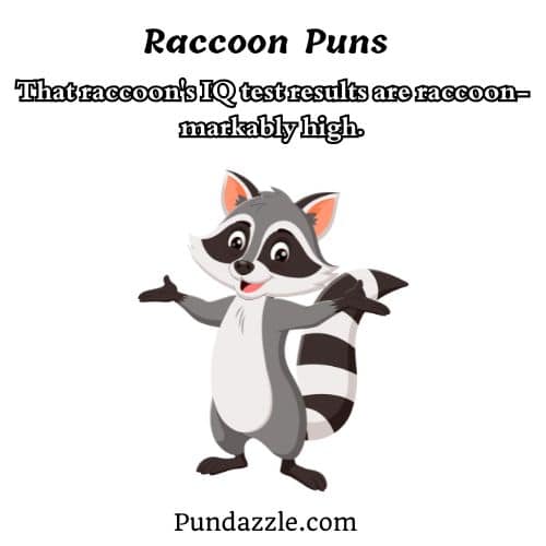 Raccoon Puns
