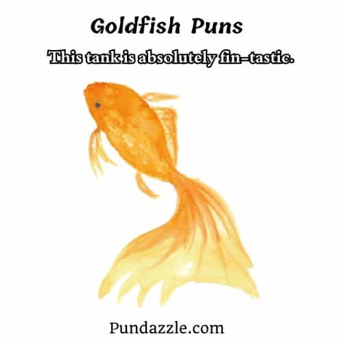 Goldfish Puns 