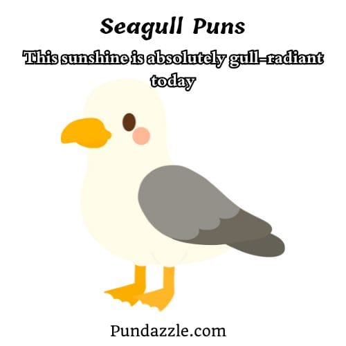 Seagull Puns